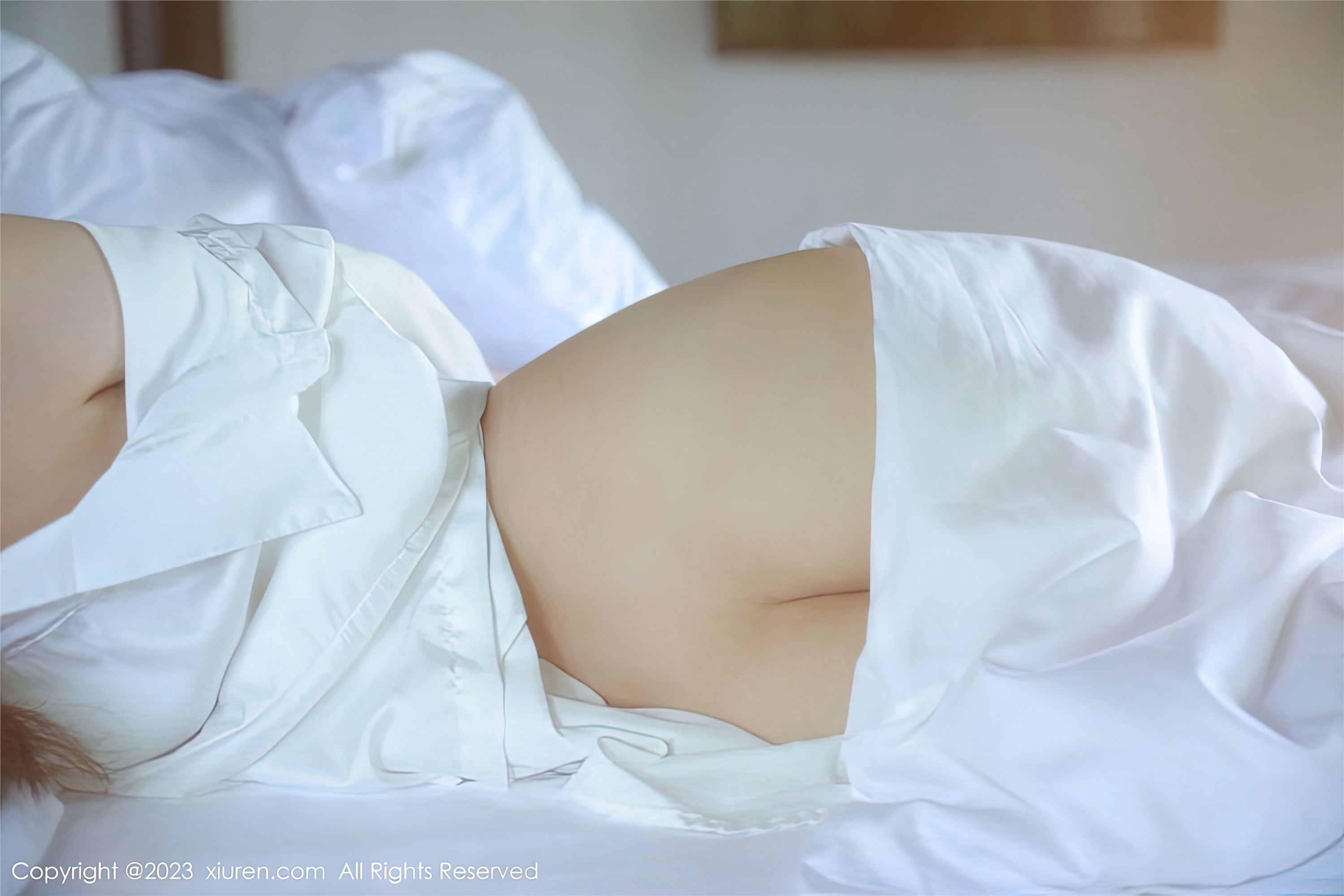 Xiuren秀人网 2023.01.29 NO.6183 谢晚晚